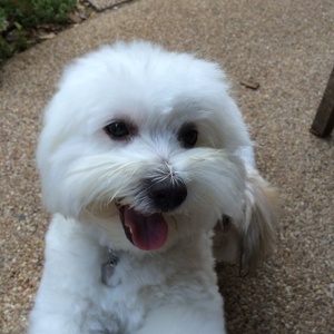 Fundraising Page: John Yearwood